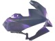 2024-2026 Kawasaki Ninja 500 EX500R Motorcycle Fairings - Chameleon Grey Dazz Pearl Purple UK