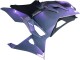 2024-2026 Kawasaki Ninja 500 EX500R Motorcycle Fairings - Chameleon Grey Dazz Pearl Purple UK