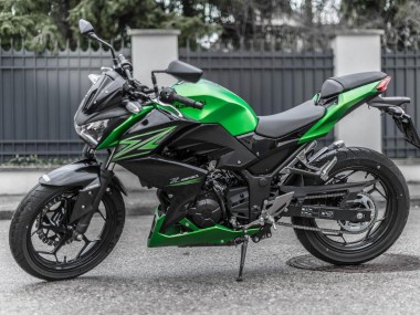 Best 2015-2016 Kawasaki Z250/Z300 Motorcycle Fairing Kits - Green Matte Black UK
