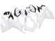 2020-2024 Ducati Panigale V2 Motorcycle Fairings - Unpainted UK