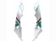 2017-2018 BMW S1000RR Motorcycle Fairings - White Green UK