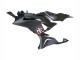 2023-2026 Kawasaki ZX6R Motorcycle Fairings - Black White with Flower UK