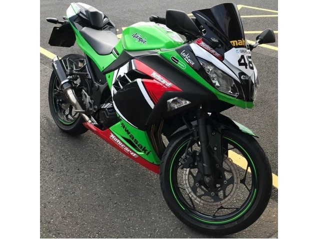 2013-2017 Kawasaki EX300 Motorcycle Fairings - Green White Red Black Elf UK