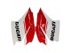 2015-2020 Ducati 1299 Motorcycle Fairings - White Red Green Matte Black UK