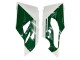 2015-2020 Ducati 1299 Motorcycle Fairings - White Red Green Matte Black UK