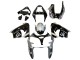 2002-2003 Kawasaki ZX9R Motorcycle Fairings - Silver Glossy Black Monster Elf UK