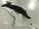 White 2008-2016 Yamaha YZF R6 Motorcycle Fairings White 2008-2016 Yamaha YZF R6 Motorcycle Fairings
