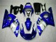 Blue 1998-2002 Yamaha YZF R6 Motorcycle Fairings Blue 1998-2002 Yamaha YZF R6 Motorcycle Fairings