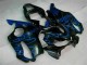 Blue Flames 2001-2003 Honda CBR600 F4i Motorcycle Fairings Blue Flames 2001-2003 Honda CBR600 F4i Motorcycle Fairings