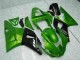 Green 2000-2001 Yamaha YZF R1 Motorcycle Fairings Green 2000-2001 Yamaha YZF R1 Motorcycle Fairings