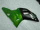 Green 2000-2001 Yamaha YZF R1 Motorcycle Fairings Green 2000-2001 Yamaha YZF R1 Motorcycle Fairings