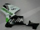 Green 2005-2006 Honda CBR600RR Motorcycle Fairings Green 2005-2006 Honda CBR600RR Motorcycle Fairings