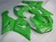 Green 2005-2006 Kawasaki ZX6R Motorcycle Fairing Green 2005-2006 Kawasaki ZX6R Motorcycle Fairing