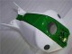 Green White 2004-2005 Honda CBR1000RR Motorcycle Fairings Green White 2004-2005 Honda CBR1000RR Motorcycle Fairings
