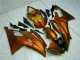 Orange 2008-2016 Yamaha YZF R6 Motorcycle Fairing Orange 2008-2016 Yamaha YZF R6 Motorcycle Fairing