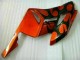 Orange Black 2004-2005 Honda CBR1000RR Motorcycle Fairing Orange Black 2004-2005 Honda CBR1000RR Motorcycle Fairing