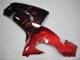 Red Flame 2006-2007 Kawasaki ZX10R Motorcycle Fairings Red Flame 2006-2007 Kawasaki ZX10R Motorcycle Fairings