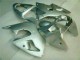 Silver 2000-2002 Kawasaki ZX6R Motorcycle Fairings Silver 2000-2002 Kawasaki ZX6R Motorcycle Fairings