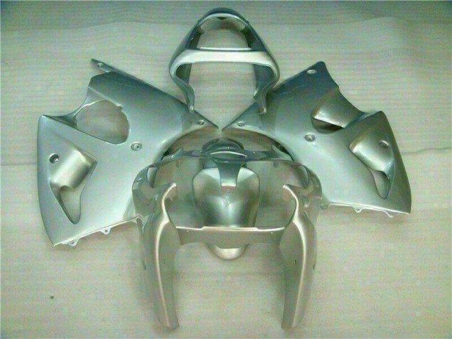 Silver 2000-2002 Kawasaki ZX6R Motorcycle Fairings Silver 2000-2002 Kawasaki ZX6R Motorcycle Fairings