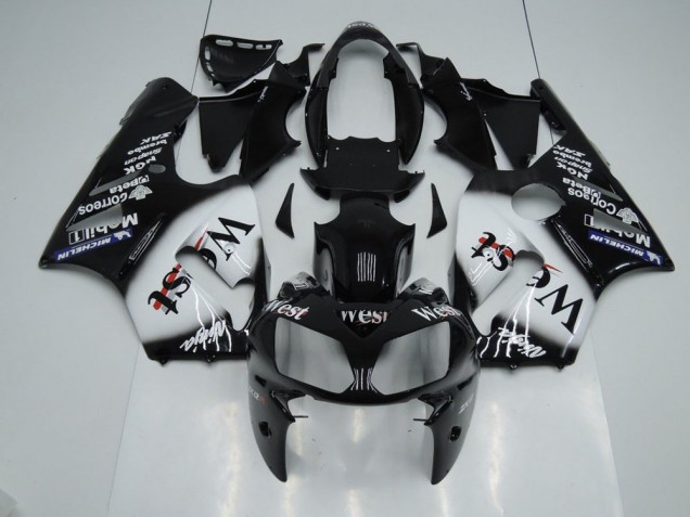 West 2002-2006 Kawasaki ZX12R Motorcycle Fairings West 2002-2006 Kawasaki ZX12R Motorcycle Fairings