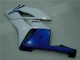 White Blue 2004-2005 Honda CBR1000RR Motorcycle Fairing White Blue 2004-2005 Honda CBR1000RR Motorcycle Fairing